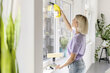 Karcher WV 1 Plus Frame Edition 1.633-228.0 kaina ir informacija | Langų valytuvai | pigu.lt