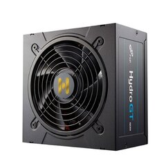 Fortron Hydro GT Pro цена и информация | Блоки питания (PSU) | pigu.lt