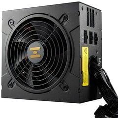 Fortron Hydro GT Pro 850W цена и информация | Блоки питания (PSU) | pigu.lt