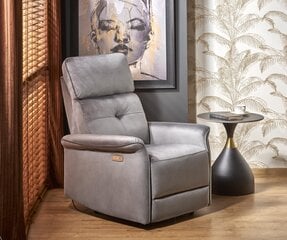 Кресло для гостиной Semir, серый цвет цена и информация | Кресла в гостиную | pigu.lt