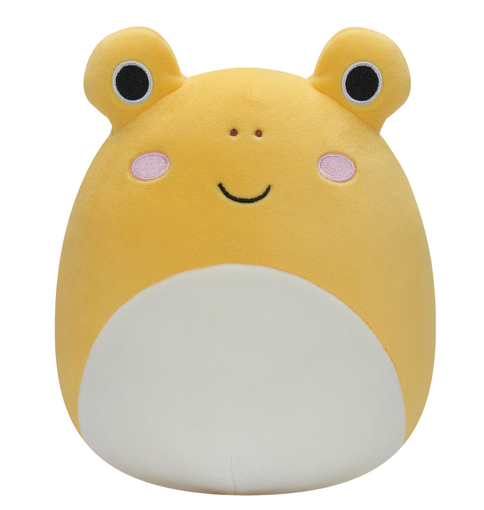 Minkštas žaislas Squishmallows, 12 cm, W15 kaina ir informacija | Minkšti (pliušiniai) žaislai | pigu.lt