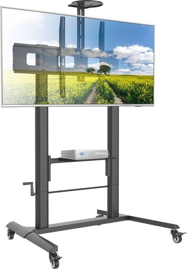 Techly ICA-TR230 52"-110" kaina ir informacija | Televizorių laikikliai, tvirtinimai | pigu.lt