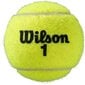 Teniso kamuoliukai Wilson, geltoni kaina ir informacija | Lauko teniso prekės | pigu.lt