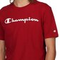 Champion marškinėliai vyrams 218284RS506, raudoni kaina ir informacija | Vyriški marškinėliai | pigu.lt