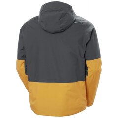 Helly Hansen striukė vyrams 63117328, įvairių spalvų цена и информация | Мужские куртки | pigu.lt