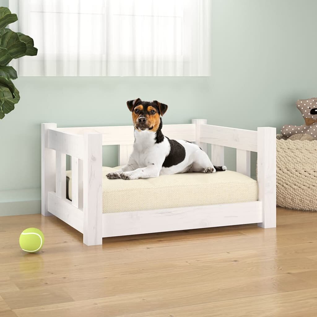 Medinė lova šunims vidaXL, įvairių dydžių, balta kaina ir informacija | Guoliai, pagalvėlės | pigu.lt