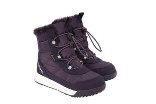 Детские зимние ботинки Viking AERY WARM GTX SL, темно-серо-фиолетовый цвет цена и информация | Зимние детские сапоги. | pigu.lt