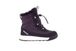 Viking vaikiški žieminiai batai AERY WARM GTX SL, tamsiai pilkai violetiniai