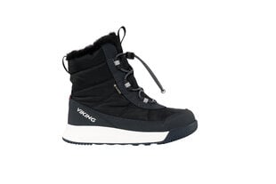 Детские зимние сапоги Viking AERY WARM GTX SL, чёрно-тёмно-серый цвет цена и информация | Детская зимняя обувь | pigu.lt