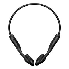 Earphones TWS QCY T22 Crossky Link (black) цена и информация | Наушники | pigu.lt