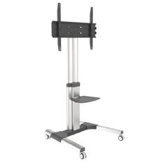 Mobilus TV stovas 50–92" iki 70 kg su reguliuojama AV lentyna цена и информация | Кронштейны и крепления для телевизоров | pigu.lt