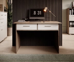 Письменный стол ADRK Furniture Atun, коричневый/белый цвет цена и информация | Компьютерные, письменные столы | pigu.lt