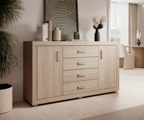 Комод ADRK Furniture Bahar, 160x40x90 см, коричневый цвет цена и информация | Комоды | pigu.lt