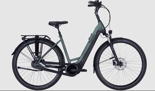 Elektrinis dviratis Pegasus Ravenna EVO 8F NL, 28'', 500Wh, tamsiai žalias kaina ir informacija | Elektriniai dviračiai | pigu.lt