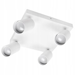 Подвесной потолочный светильник Ledlux цена и информация | Потолочные светильники | pigu.lt