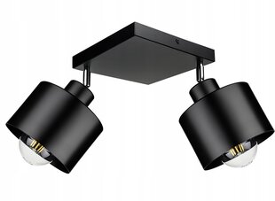 Ledlux lubinis šviestuvas kaina ir informacija | Lubiniai šviestuvai | pigu.lt