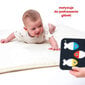 Kontrastinės kortelės CzuCzu цена и информация | Žaislai kūdikiams | pigu.lt
