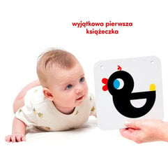 Контрастные карточки CzuCzu цена и информация | Игрушки для малышей | pigu.lt