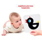 Kontrastinės kortelės CzuCzu kaina ir informacija | Žaislai kūdikiams | pigu.lt
