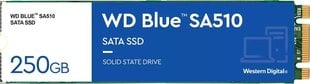 WD Blue SA510 WDS250G3B0B kaina ir informacija | Vidiniai kietieji diskai (HDD, SSD, Hybrid) | pigu.lt