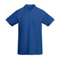 Polo marškinėliai vyrams Roly Prince, mėlyni kaina ir informacija | Vyriški marškinėliai | pigu.lt