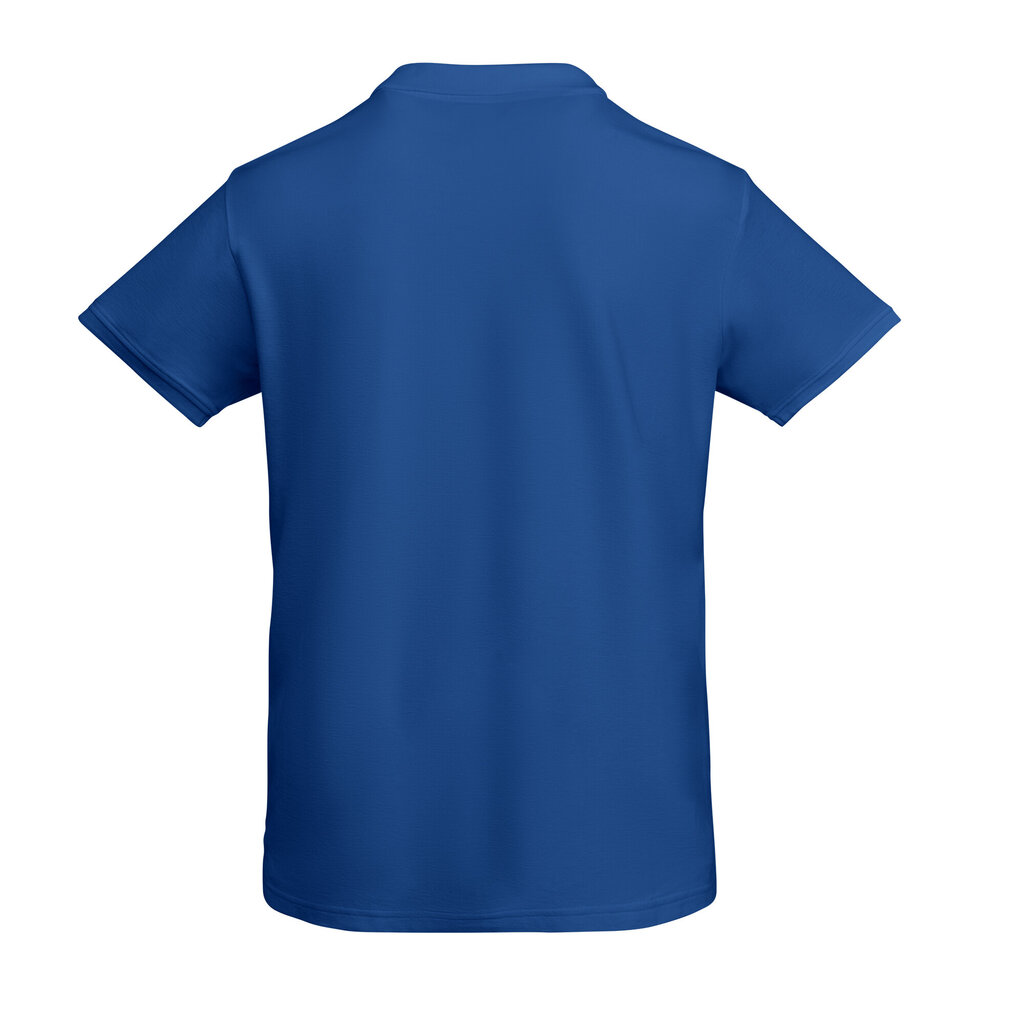 Polo marškinėliai vyrams Roly Prince, mėlyni kaina ir informacija | Vyriški marškinėliai | pigu.lt
