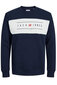 Džemperis vyrams Jack&Jones, įvairių spalvų цена и информация | Megztiniai vyrams | pigu.lt
