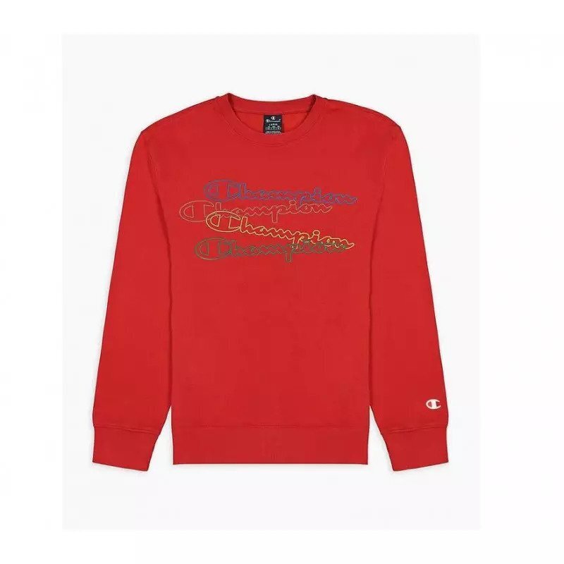Džemperis berniukams Champion, raudonas kaina ir informacija | Megztiniai, bluzonai, švarkai berniukams | pigu.lt