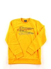 Champion džempris berniukams, geltonas kaina ir informacija | Megztiniai, bluzonai, švarkai berniukams | pigu.lt