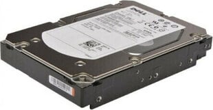 Dell 400-BLCK480 цена и информация | Внутренние жёсткие диски (HDD, SSD, Hybrid) | pigu.lt