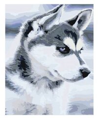 Tapyba pagal skaičius Husky, 40x50 cm kaina ir informacija | Tapyba pagal skaičius | pigu.lt