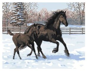 Картины по номерам "Лошади в снегу" 40x50 цена и информация | Живопись по номерам | pigu.lt