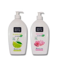 Muilas veidui ir rankoms Neutroderma Bio, 2x1000 ml kaina ir informacija | Muilai | pigu.lt