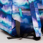 Kuprinė ErichKrause EasyLine Style Aurora Borealis, 19 L kaina ir informacija | Kuprinės ir krepšiai | pigu.lt