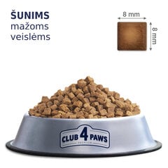 Club 4 Paws Premium suaugusiems, mažos veislės šunims, 2 kg kaina ir informacija | Sausas maistas šunims | pigu.lt