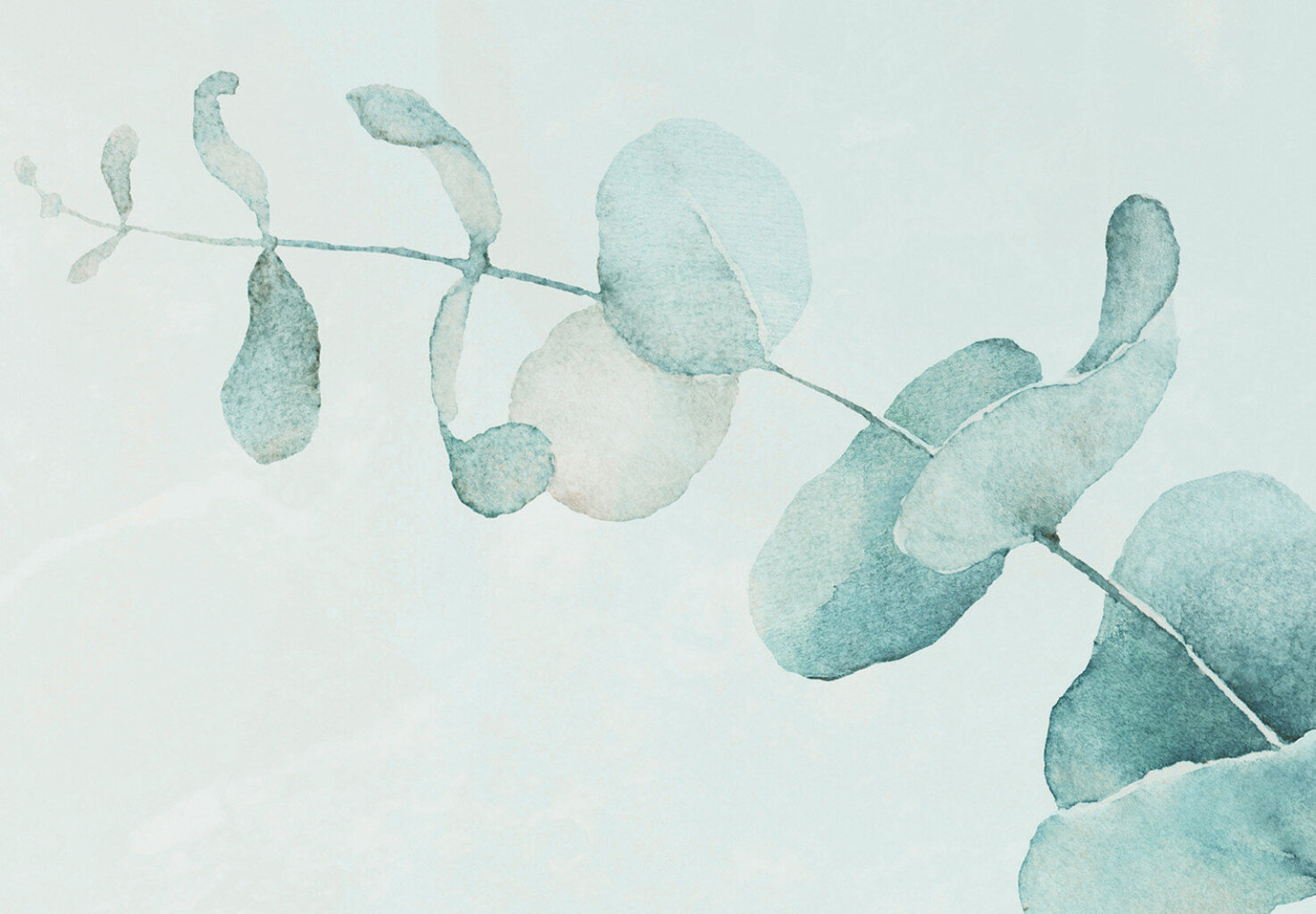 Fototapetai Smėliomėlyni eukalipto lapai kaina ir informacija | Fototapetai | pigu.lt