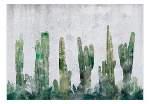Fototapetai Kaktusų siena kaina ir informacija | Fototapetai | pigu.lt