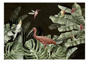 Fototapetai Tropiniai paukščiai kaina ir informacija | Fototapetai | pigu.lt