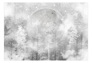 Fototapetai Mėnulis ir žiemos gamta kaina ir informacija | Fototapetai | pigu.lt