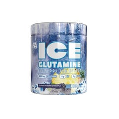 Glutaminas FA Ice Frozen 300 g kaina ir informacija | Glutaminas | pigu.lt