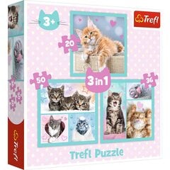 3 dėlionių rinkinys Trefl Kačiukai kaina ir informacija | Dėlionės (puzzle) | pigu.lt