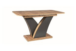 Обеденный стол Signal Divani, коричневый/серый цвет цена и информация | Кухонные и обеденные столы | pigu.lt