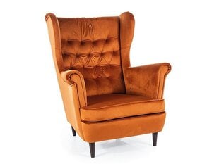 Svetainės fotelis Signal Harry Velvet, oranžinis kaina ir informacija | Svetainės foteliai | pigu.lt