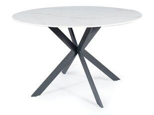 Обеденный стол Signal Talia, белый/черный цвет цена и информация | Кухонные и обеденные столы | pigu.lt