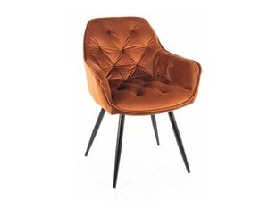 2-jų valgomojo kėdžių komplektas Signal Cherry Velvet, oranžinis/juodas kaina ir informacija | Virtuvės ir valgomojo kėdės | pigu.lt