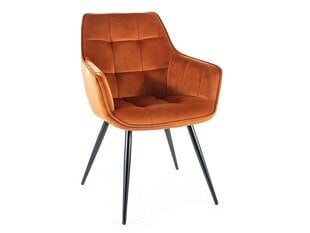 2-jų valgomojo kėdžių komplektas Signal Lilia Velvet, oražinis/juodas kaina ir informacija | Virtuvės ir valgomojo kėdės | pigu.lt