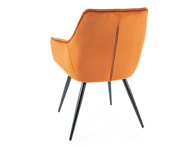2-jų valgomojo kėdžių komplektas Signal Lilia Velvet, oražinis/juodas kaina ir informacija | Virtuvės ir valgomojo kėdės | pigu.lt