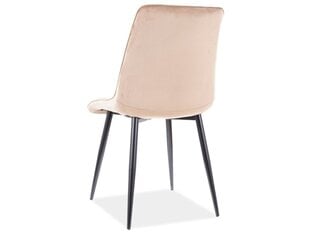 Набор из 4-х обеденных стульев Signal Chic D Velvet, зеленый/коричневый цвет цена и информация | Стулья для кухни и столовой | pigu.lt