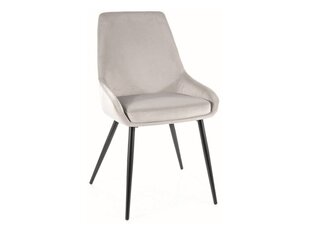 4-ių valgomojo kėdžių komplektas Signal Cobe Velvet, pilkas/juodas kaina ir informacija | Virtuvės ir valgomojo kėdės | pigu.lt