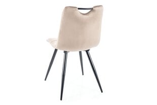 Комплект из 4-х обеденных стульев Signal Orfe Velvet, серый/черный цвет цена и информация | Стулья для кухни и столовой | pigu.lt